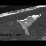 comedown
