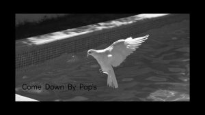comedown