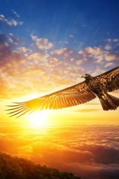 La paix de Dieu – The peace of God