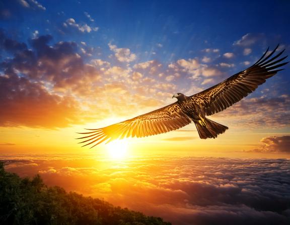 La paix de Dieu – The peace of God